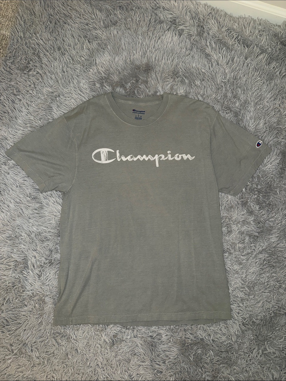 Champion Grayish Sage Green Short Sleeve Tee with White Script Logo